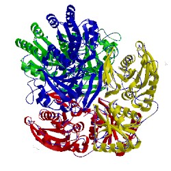 Image of CATH 5f52