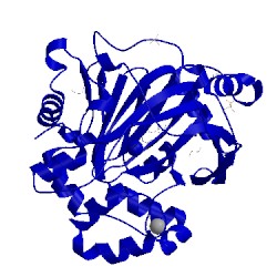 Image of CATH 5f5c