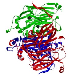 Image of CATH 5f7b