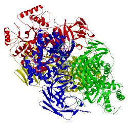 Image of CATH 5f7c