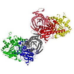 Image of CATH 5f7z