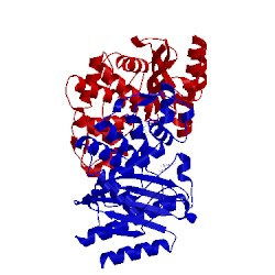 Image of CATH 5f83