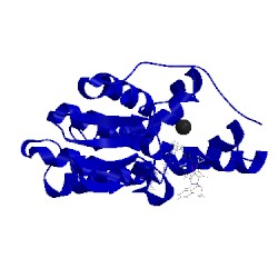 Image of CATH 5f8b