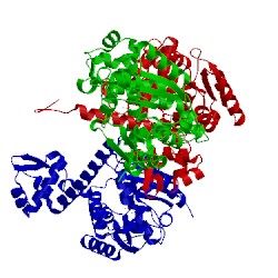 Image of CATH 5f8c
