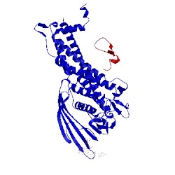 Image of CATH 5f9a