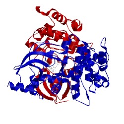 Image of CATH 5f9e