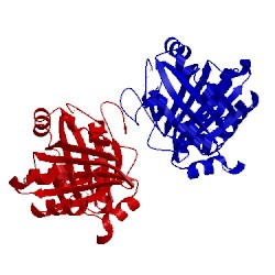 Image of CATH 5f9p