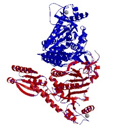 Image of CATH 5f9y