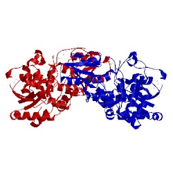 Image of CATH 5fa0