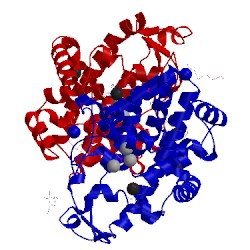 Image of CATH 5fbb