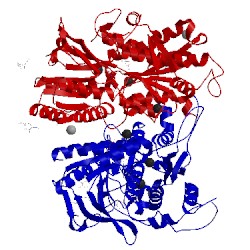 Image of CATH 5fbk