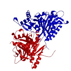 Image of CATH 5fbp