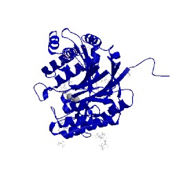 Image of CATH 5fc5