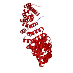 Image of CATH 5fc8