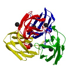 Image of CATH 5fc9