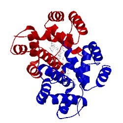 Image of CATH 5fcx