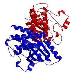Image of CATH 5fd2