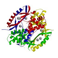 Image of CATH 5fd6