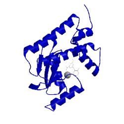 Image of CATH 5fdd