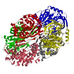 Image of CATH 5fdf