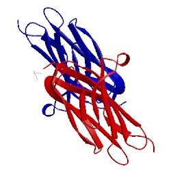 Image of CATH 5fdy