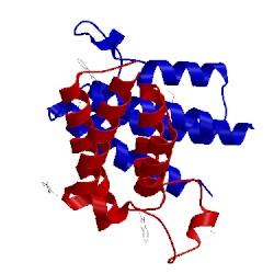 Image of CATH 5fe2