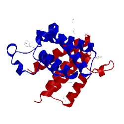 Image of CATH 5fe4