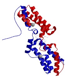 Image of CATH 5fea