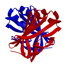 Image of CATH 5fen