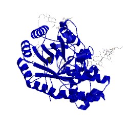 Image of CATH 5fep