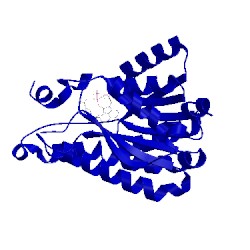 Image of CATH 5feu