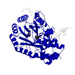 Image of CATH 5ff0