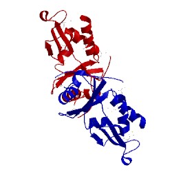 Image of CATH 5ffp