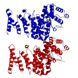 Image of CATH 5fg0