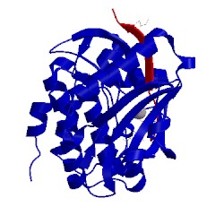 Image of CATH 5fg8