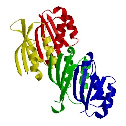 Image of CATH 5fii