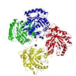 Image of CATH 5fip