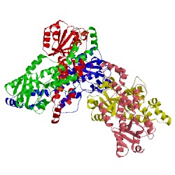 Image of CATH 5fiq