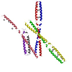 Image of CATH 5fiy