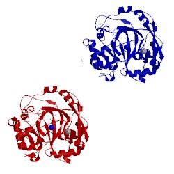 Image of CATH 5fjh