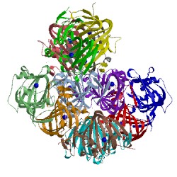 Image of CATH 5flj