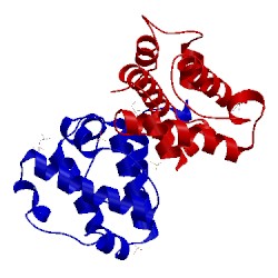 Image of CATH 5fmt