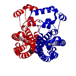 Image of CATH 5fnp