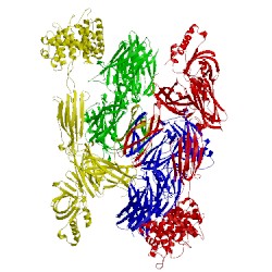 Image of CATH 5foa