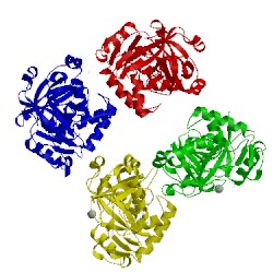 Image of CATH 5fog