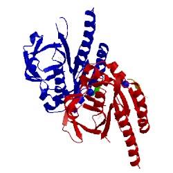 Image of CATH 5fov