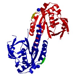 Image of CATH 5fow