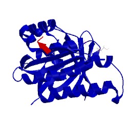 Image of CATH 5fox