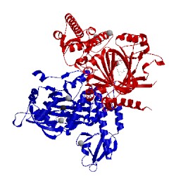 Image of CATH 5fp3