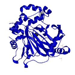 Image of CATH 5fp9